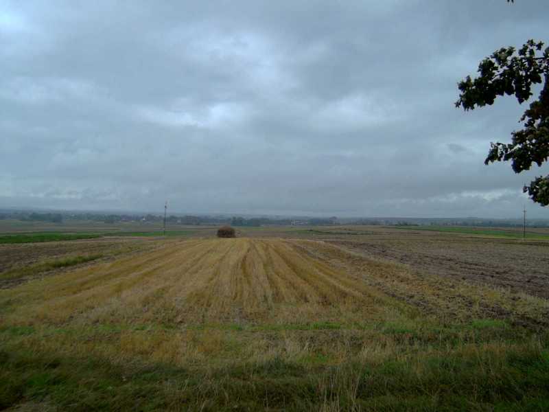 Polish countryside